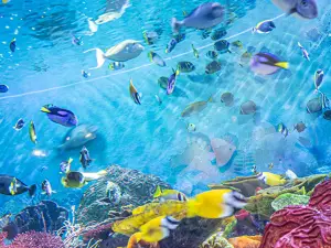 SEA LIFE COEX, Seoul Aquarium