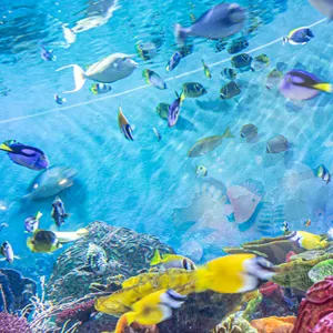 Sea Life COEX水族館