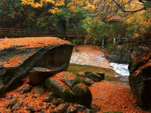 Eighteen Moon Lake Scenic Area