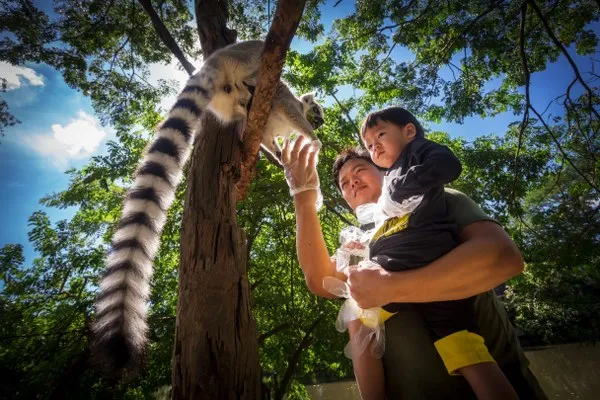 3_สวนสัตว์เปิดเขาเขียว