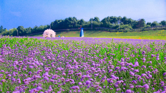 Xiangyin