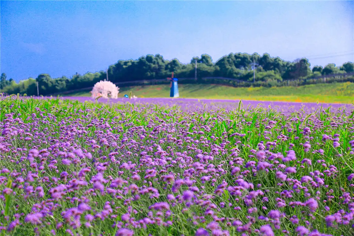 Hotels near Yangsha Lake Colorful Flower Field