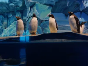 Zhongtai Ocean World