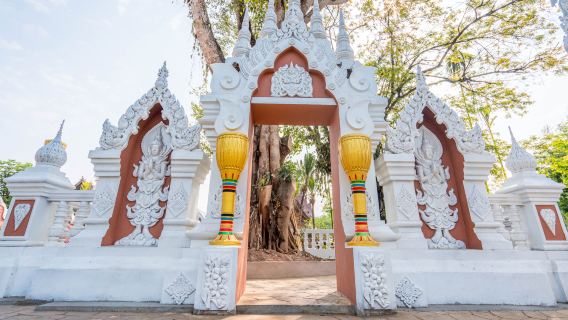 ทัวร์วันเดียว/ทัวร์หลายวัน ของสวนพฤกษศาสตร์เขตร้อนสิบสองปันนาและสวนไดของสถาบันวิทยาศาสตร์จีน (พร้อมการสนับสนุนเป็นภาษาอังกฤษและภาษาจีน)