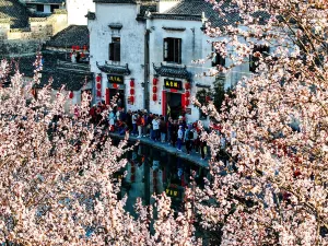 Hongcun Village