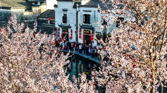 3_宏村景區