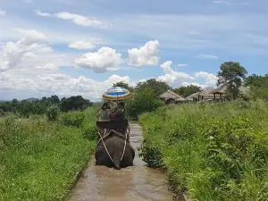 Hua Hin Safari & Adventure Park