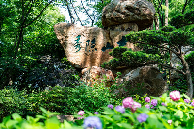 Tai Hu Yuantouzhu Scenic Spot