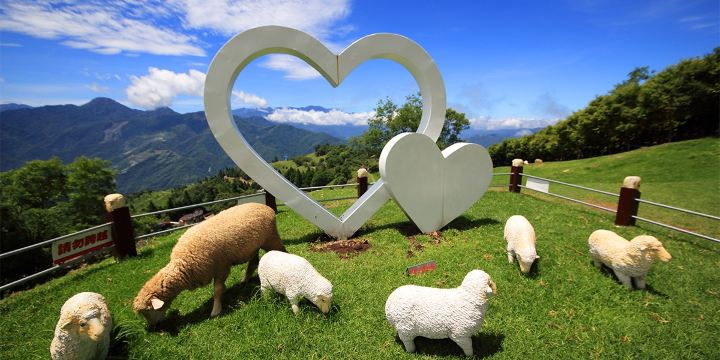 Green Green Grassland