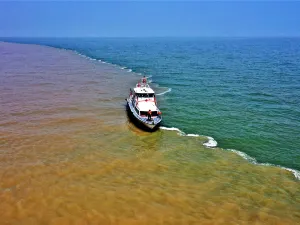 Yellow River Estuary Ecological Tourist Area