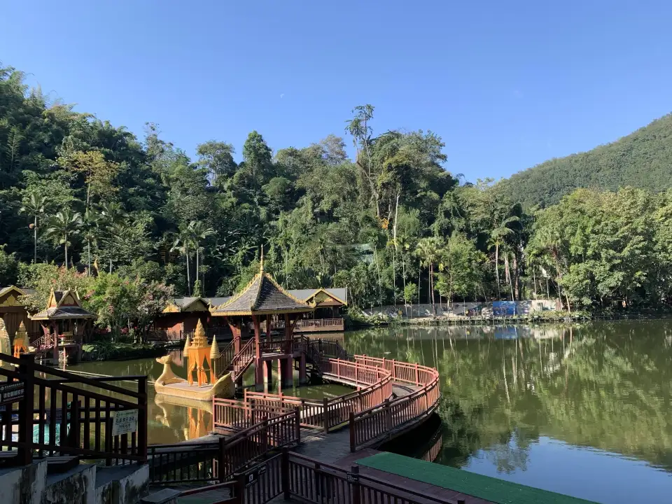 2_Xishuangbanna Primeval Forest Park