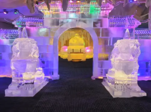 중양다제 치차이빙댜오다스제