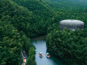 Nanshan Bamboo Sea