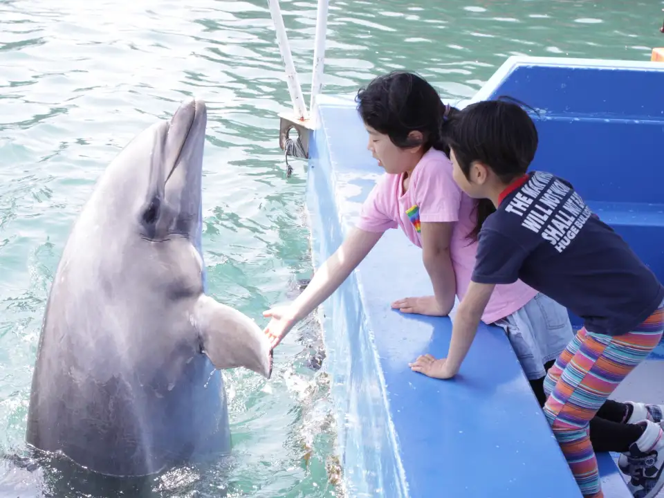 3_下田海中水族館