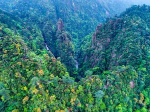 Mangshan Tourist Area