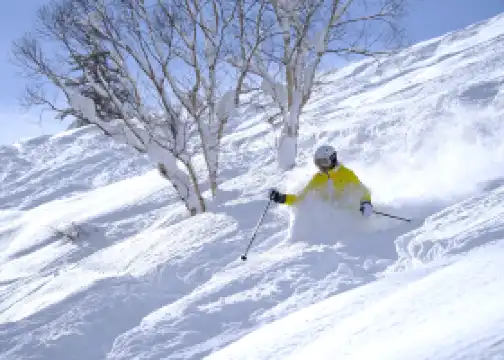 キロロリゾート