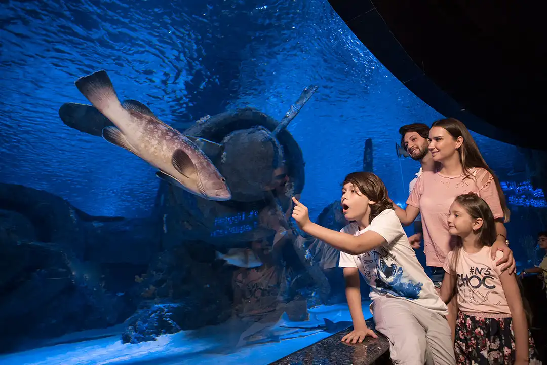 Hotels near Antalya Aquarium