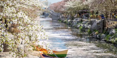 南通洲際夢幻島