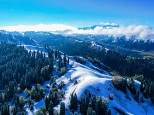 쿠르드닝 관광지