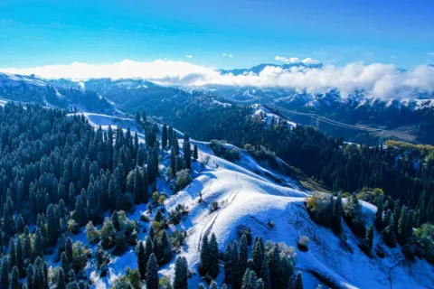 쿠르드닝 관광지