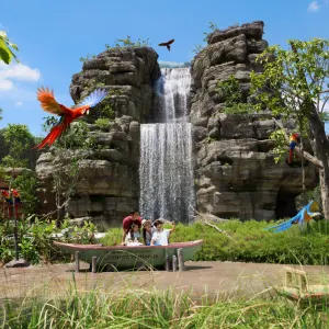 Bird Paradise