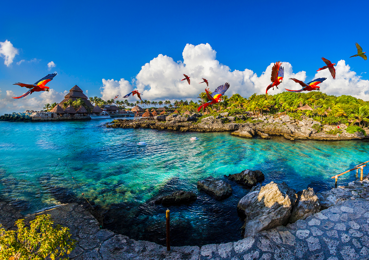 2025 Solidaridad Travel Guide: Must-see attractions, popular food, hotels, transportation routes (updated in June)