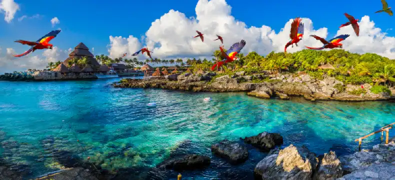 Hotels in Solidaridad