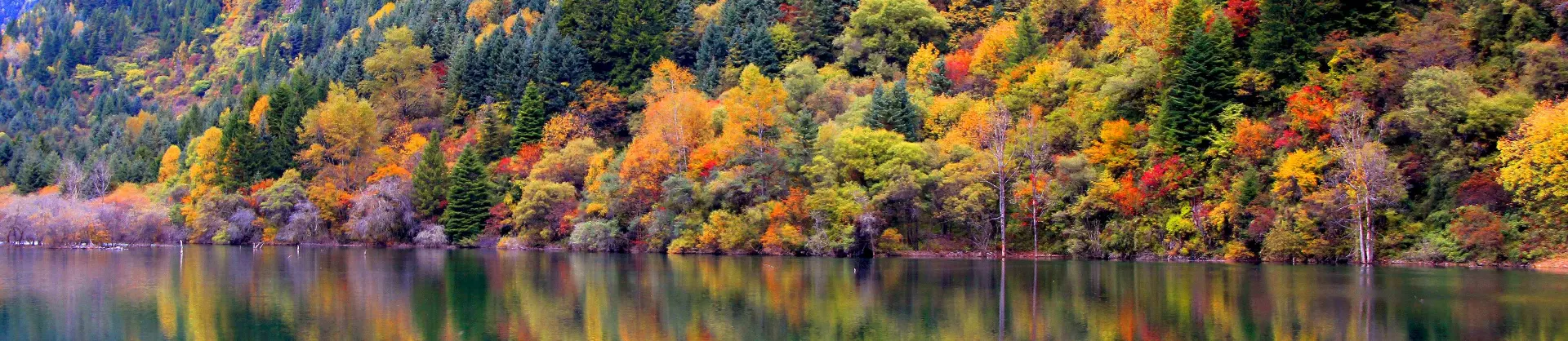 Fall Viewing Attractions