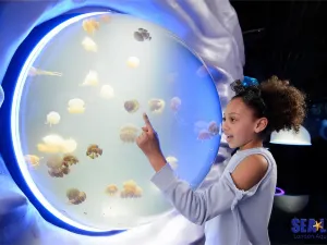 SEA LIFE London Aquarium