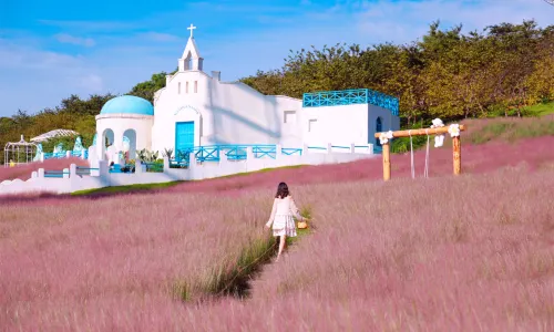 Manhua Sea of Flowers