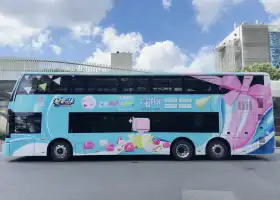 City Sightseeing Tour Bus