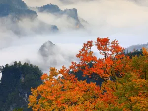 Guangwu Mountain Tourist Area