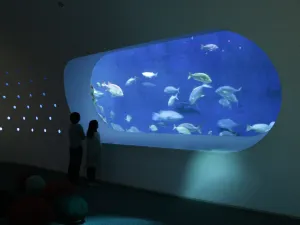 우미타마고 수족관