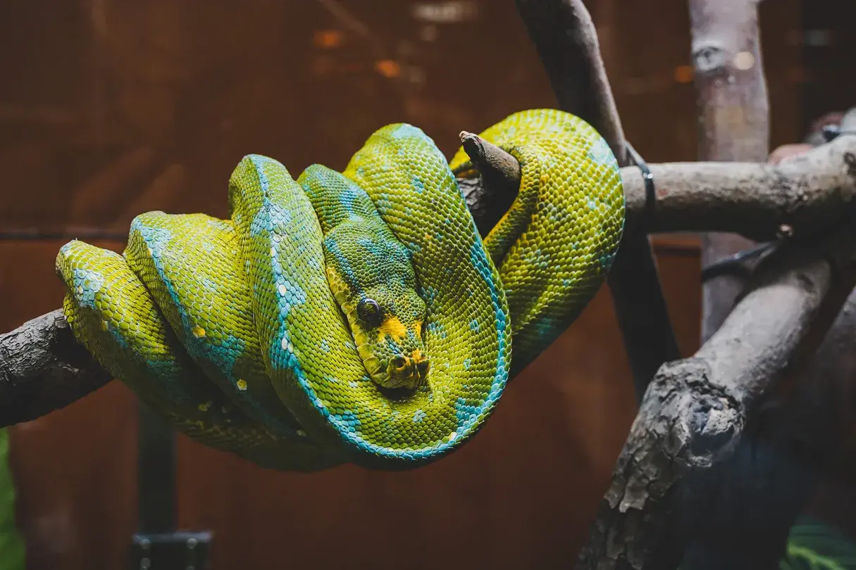 3_上海大自然野生昆蟲館