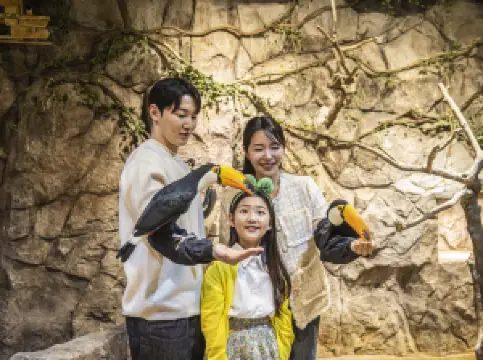 Zoolung Zoolung Animal Theme Park (SEOUL TIMES SQUARE)