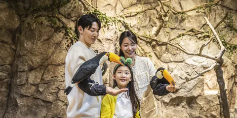 Zoolung Zoolung室內萌寵樂園(SEOUL TIMES SQUARE分店)門票大小同價