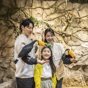 Zoolung Zoolung室內萌寵樂園(SEOUL TIMES SQUARE分店)
