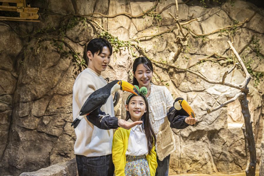 Zoolung Zoolung室內萌寵樂園(SEOUL TIMES SQUARE分店)
