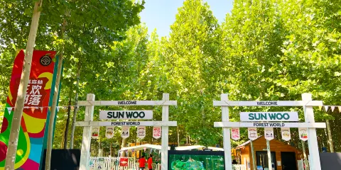 沙窩森林公園