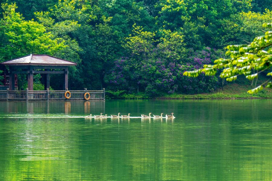 白江湖