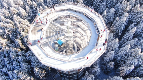Fairy Mountain Treetop Walk