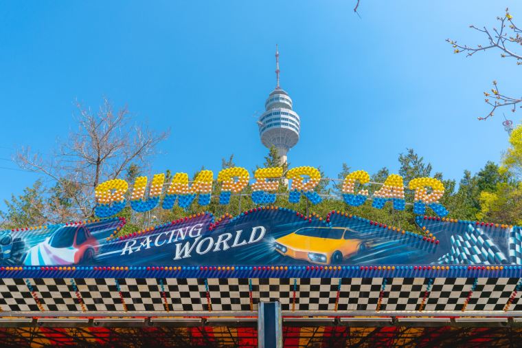 대구 벚꽃 명소