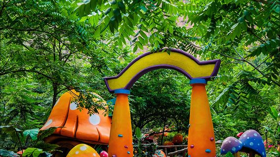 Dabieshan Happy Valley