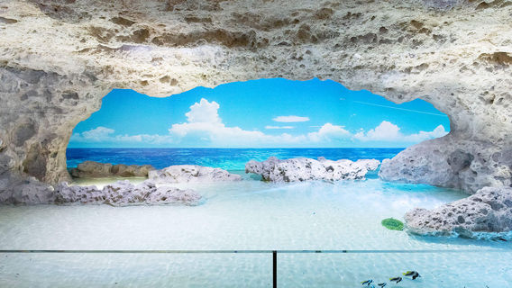 DMM Kariyushi Aquarium