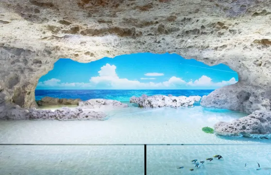 DMM Kariyushi水族館門票成人