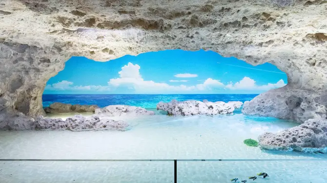 1_DMM Kariyushi水族館