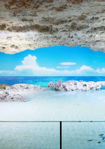 Hotels near DMM Kariyushi Aquarium