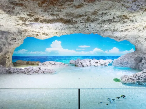 DMM Kariyushi水族館