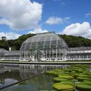 大自然與野生動物