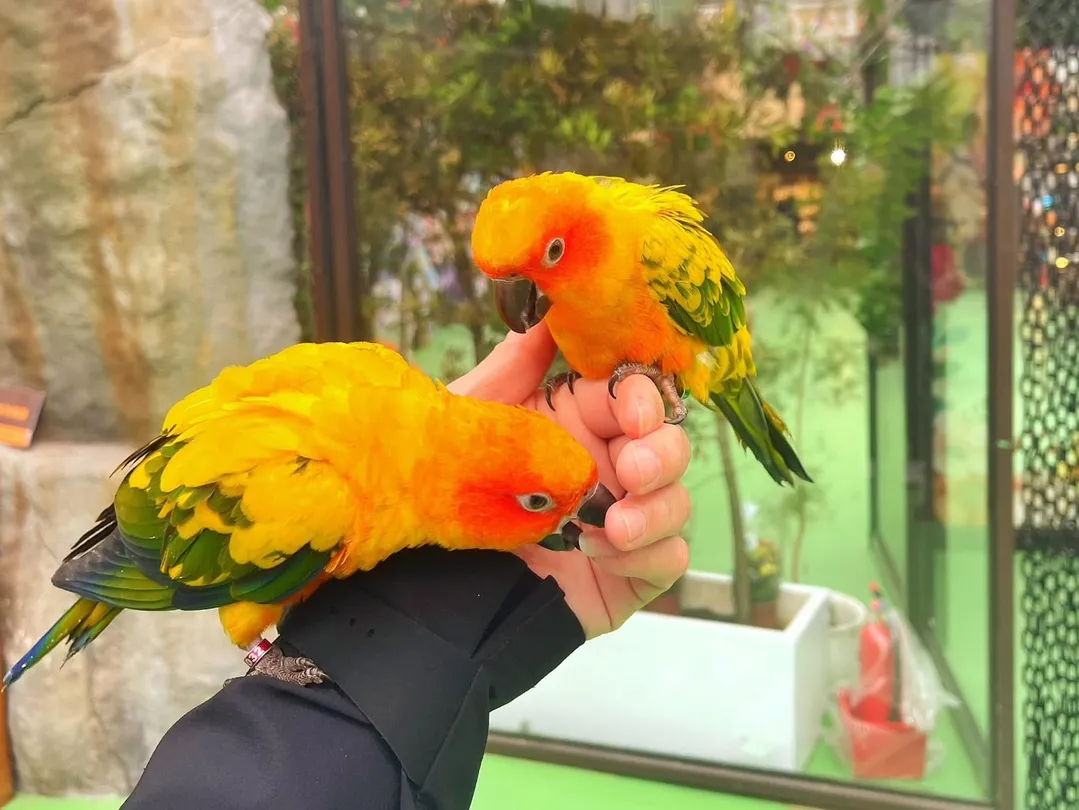 4_蘭陽動植物王國